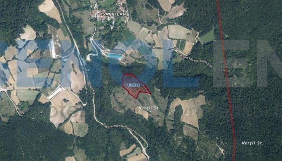 Bolu Merkez Saççılar Köyünde Uygun Fiyatlı 16 Dönüm Tarla 